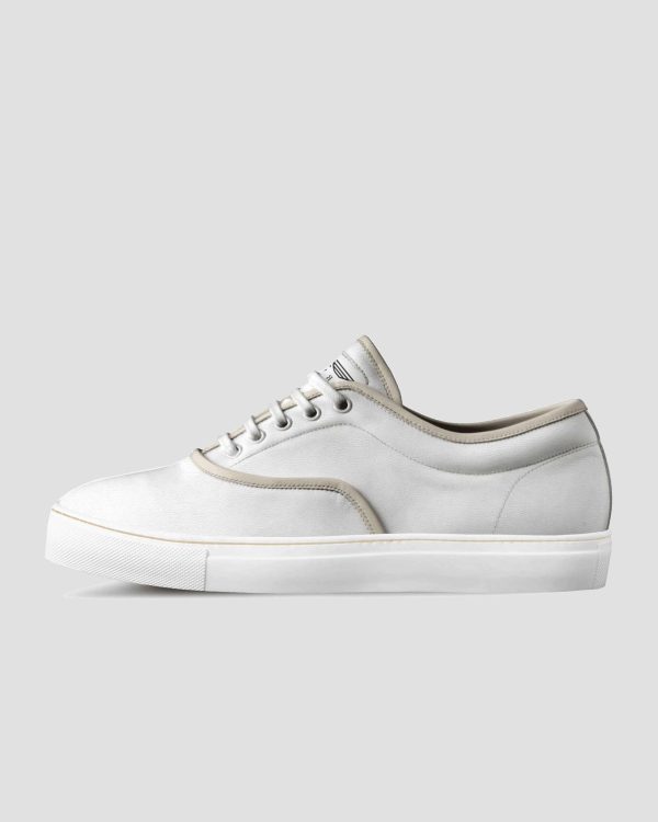 Airwing®  Classic Skatter